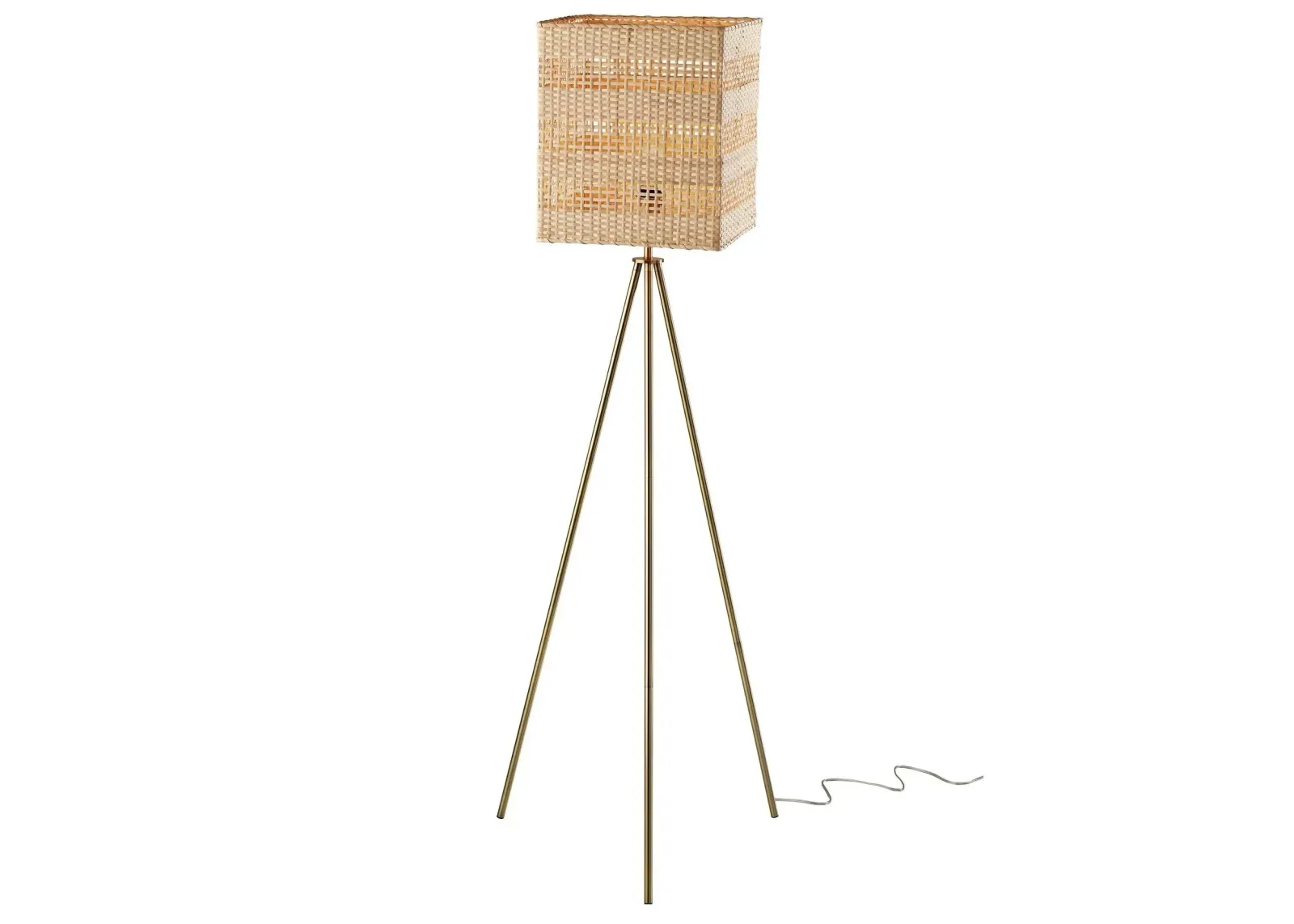 Pesina Floor Lamp in Antique Brass by Adesso Inc