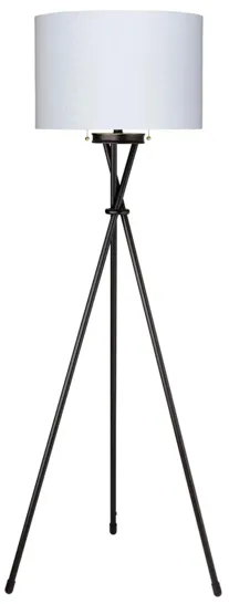 Bering Floor Lamp in Black by Jamie Young Company