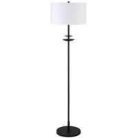 Audrey Floor Lamp in Blackened Bronze by Hudson & Canal