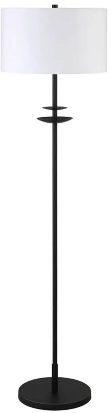 Audrey Floor Lamp in Blackened Bronze by Hudson & Canal