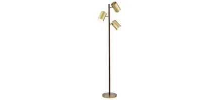 Donatello Floor Lamp in Walnut finished wood by Pacific Coast