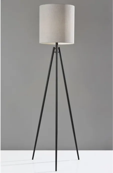 Glenwood Floor Lamp in Black by Adesso Inc