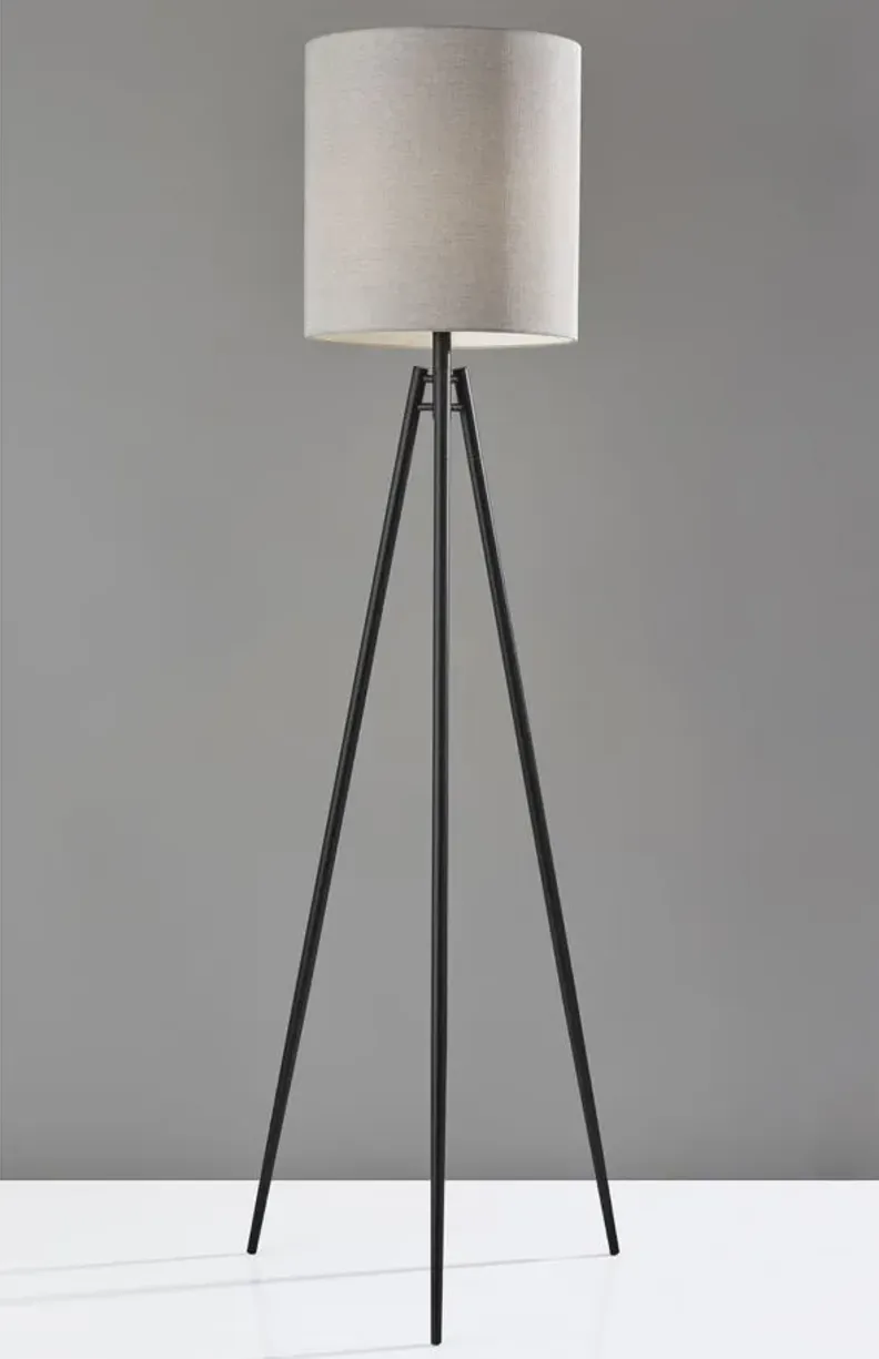 Glenwood Floor Lamp in Black by Adesso Inc