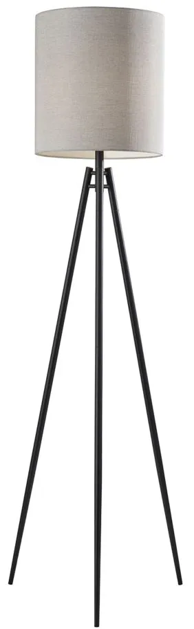 Glenwood Floor Lamp in Black by Adesso Inc