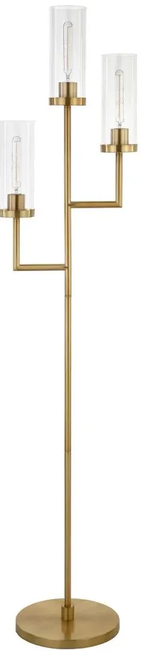 Amir Round Base Torchiere Floor Lamp in Brass by Hudson & Canal