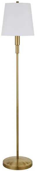 Anastasia Floor Lamp in Brass by Hudson & Canal