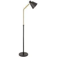 Gia Floor Lamp in Blackened Bronze/Brass by Hudson & Canal