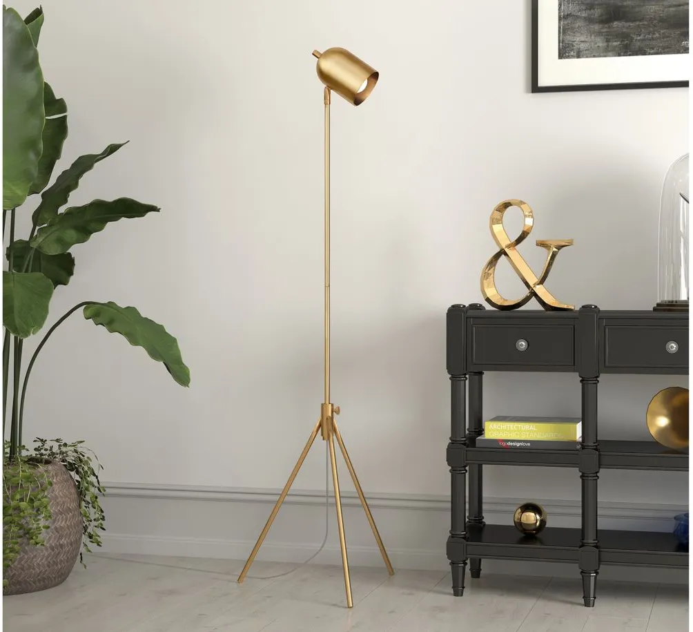 Marissa Tripod Floor Lamp in Brass by Hudson & Canal