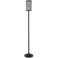 Susana Floor Lamp in Blackened Bronze by Hudson & Canal