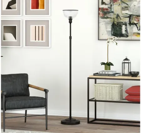 Sylvia Torchiere Floor Lamp in Blackened Bronze by Hudson & Canal