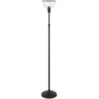 Sylvia Torchiere Floor Lamp in Blackened Bronze by Hudson & Canal