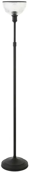 Sylvia Torchiere Floor Lamp in Blackened Bronze by Hudson & Canal