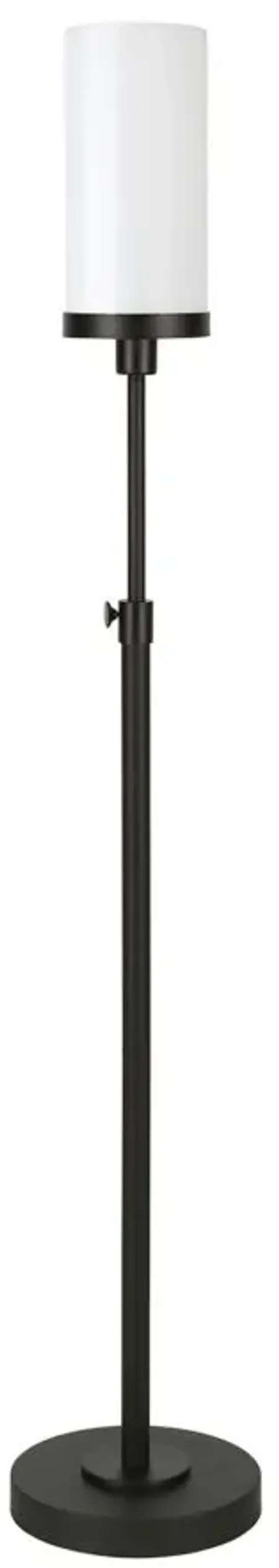 Lucien Floor Lamp in Blackened Bronze by Hudson & Canal