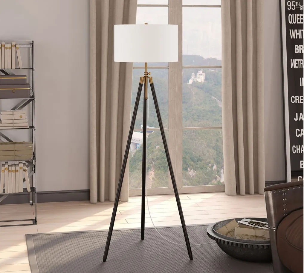 Kahn Floor Lamp in Blackened Bronze;Antique Brass by Hudson & Canal