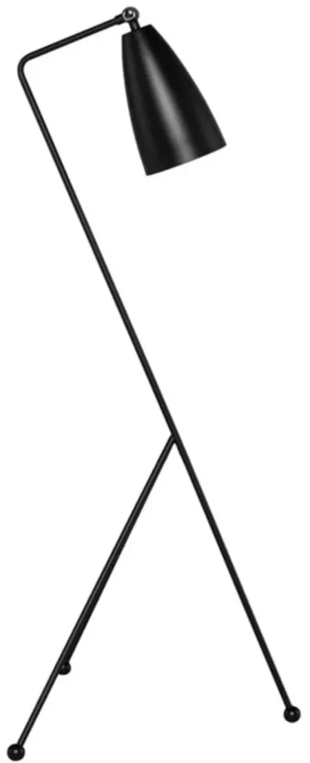 Lucille Floor Lamp in BLACK by Nuevo