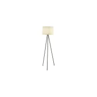 Tripod Floor Lamp in Black by Anthony California