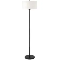 Trina Floor Lamp in Blackened Bronze by Hudson & Canal