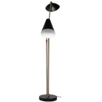 Dominique Floor Lamp in BLACK by Nuevo