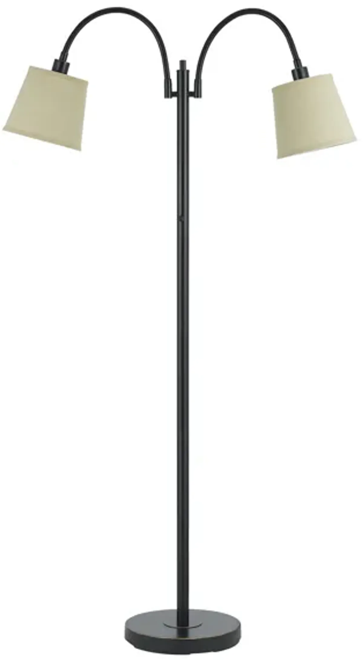 Gail Gooseneck Floor Lamp