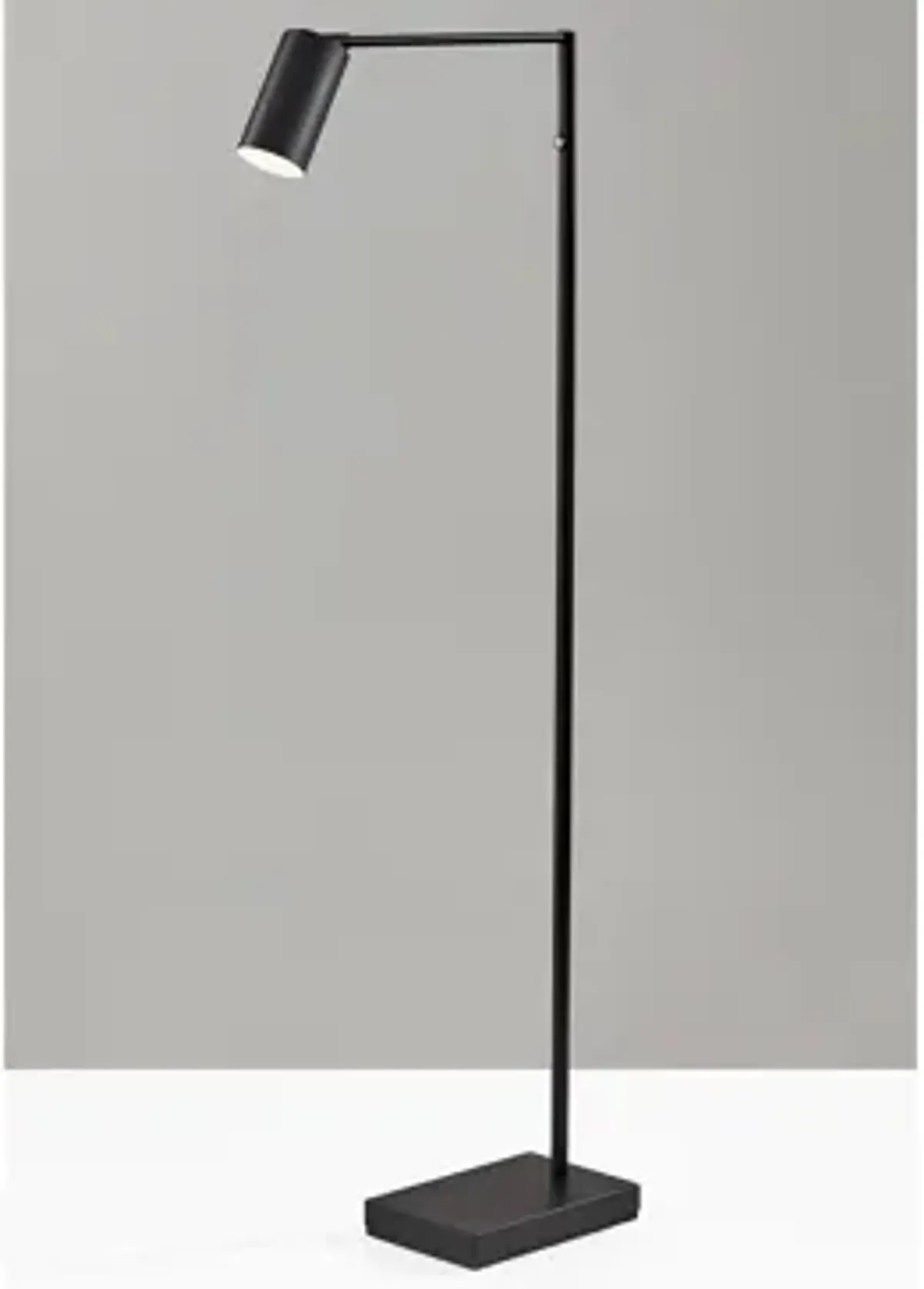 Colby LED Floor Lamp