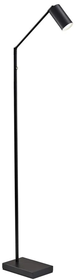 Colby LED Floor Lamp in Black by Adesso Inc