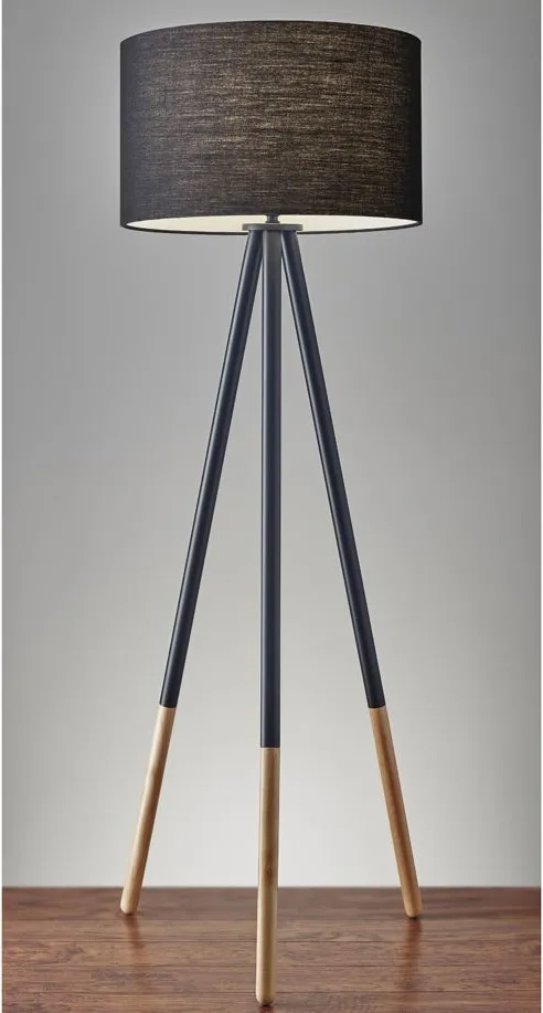 Louise Floor Lamp in Black by Adesso Inc