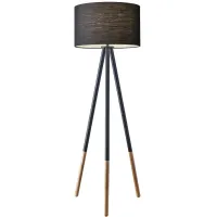 Louise Floor Lamp in Black by Adesso Inc