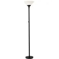 Aries Torchiere Lamp in Black by Adesso Inc