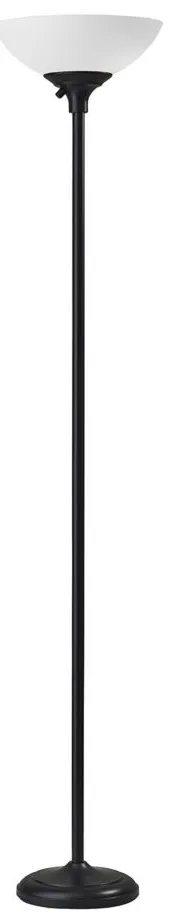 Glenn Torchiere Floor Lamp in Black by Adesso Inc