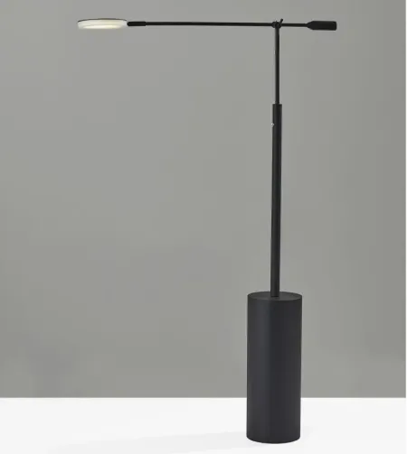 Grover Floor Lamp in Black by Adesso Inc