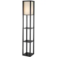 Titan Tall Shelf Floor Lamp in Black by Adesso Inc