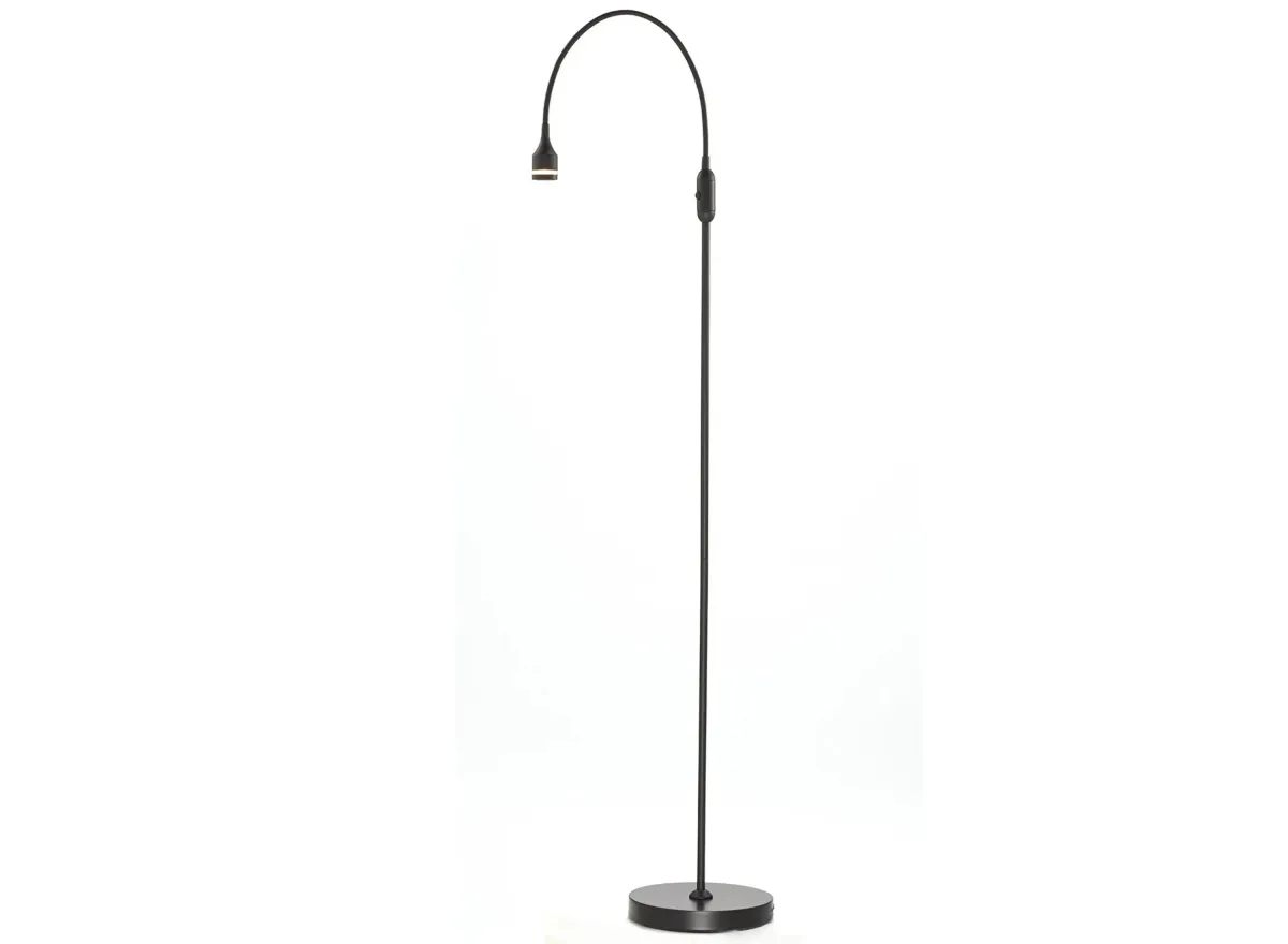 Prospect LED Floor Lamp