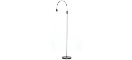 Prospect LED Floor Lamp in Black by Adesso Inc