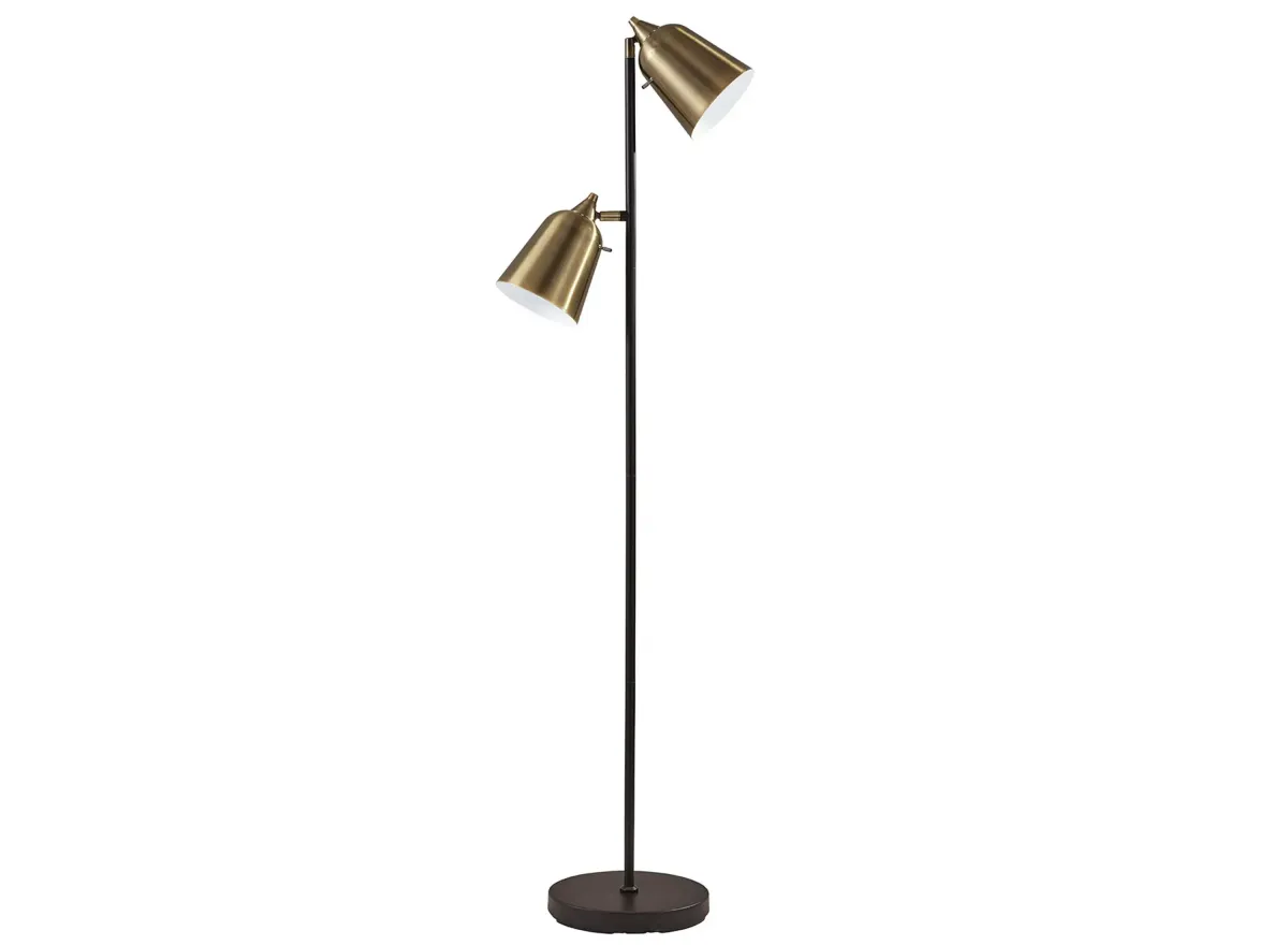 Malcolm Floor Lamp in Black by Adesso Inc