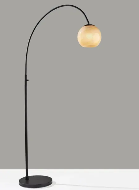 Nolan Arc Lamp in Black by Adesso Inc