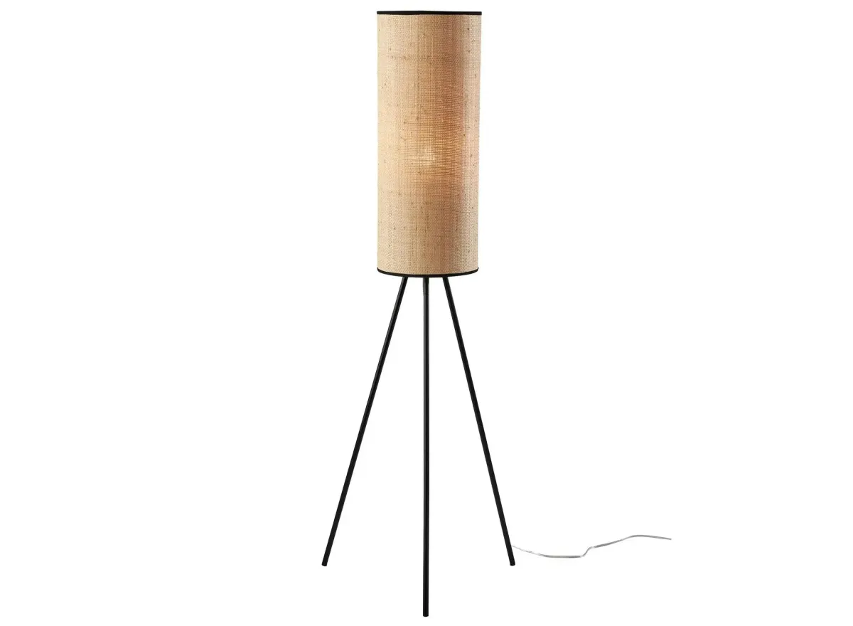 Huey Floor Lamp in Black by Adesso Inc