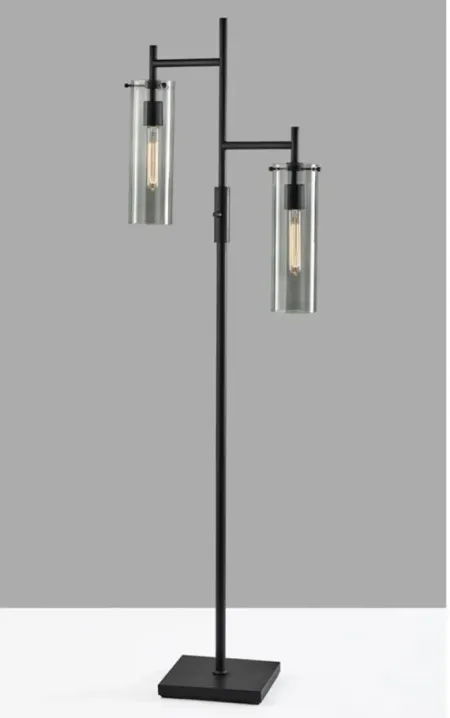 Dalton Floor Lamp in Black by Adesso Inc