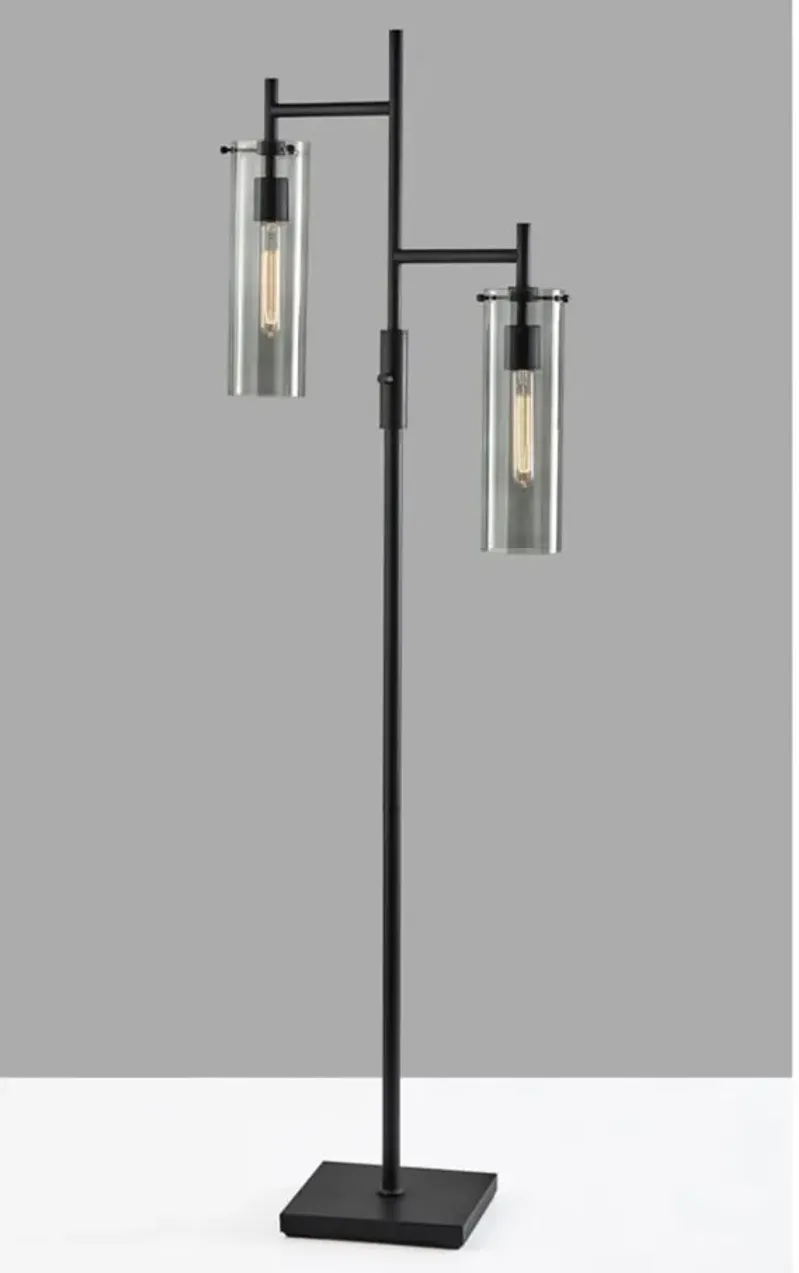 Dalton Floor Lamp in Black by Adesso Inc