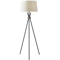 Benson Floor Lamp in Black by Adesso Inc