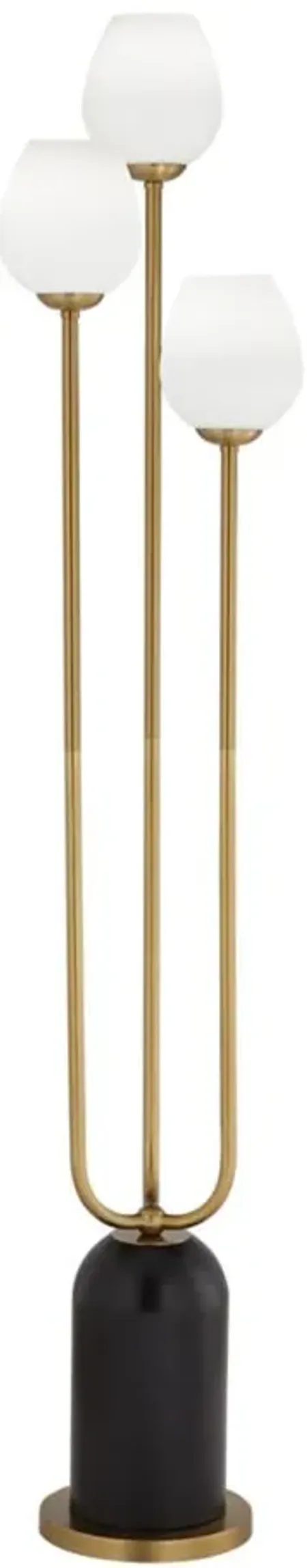 Grayson Floor Lamp in Black;Gold by Pacific Coast