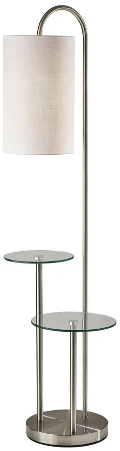 Leonard Shelf Floor Lamp in Brushed Steel by Adesso Inc