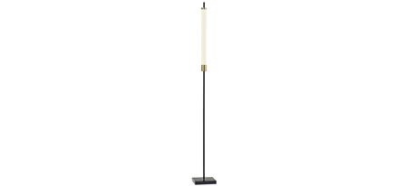Piper LED Floor Lamp in Black by Adesso Inc
