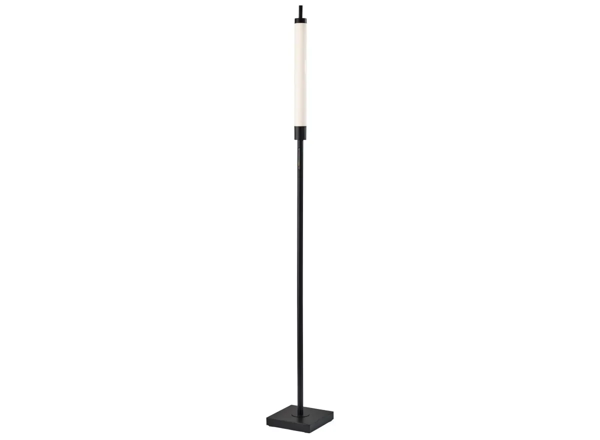 Collin Floor Lamp in Black by Adesso Inc