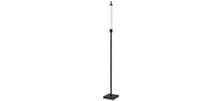 Collin Floor Lamp in Black by Adesso Inc