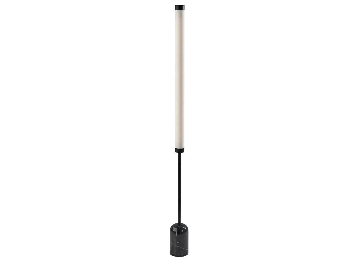 Dorsey Floor Lamp in Black by Adesso Inc