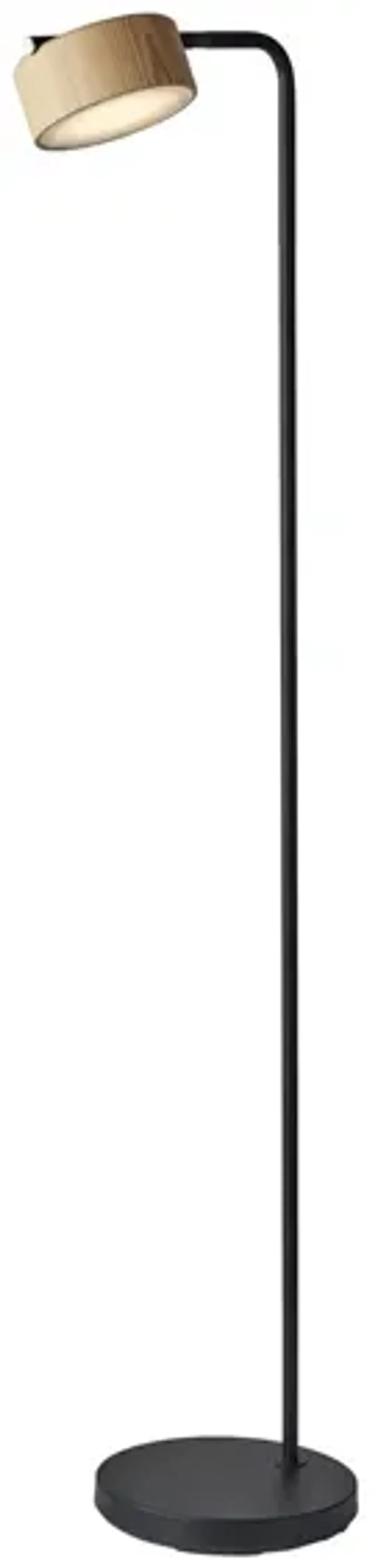 Roman LED Floor Lamp in Black by Adesso Inc