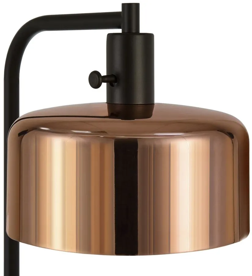 Bjoern Floor Lamp in Blackened Bronze by Hudson & Canal