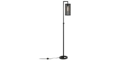Moyna Floor Lamp in Blackened Bronze by Hudson & Canal