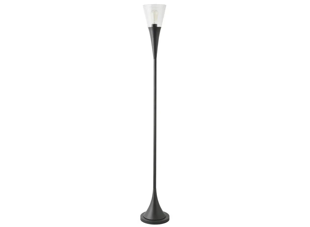 Adina Torchiere Floor Lamp in Blackened Bronze by Hudson & Canal