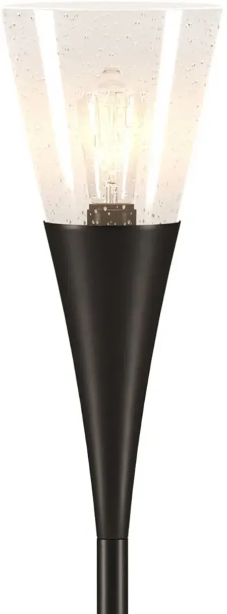 Adina Torchiere Floor Lamp in Blackened Bronze by Hudson & Canal